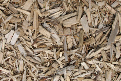 biomass boilers Ellerker